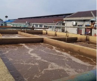 出水氨氮大于進(jìn)水氨氮，怎么回事？