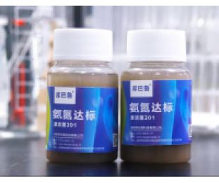 生化系統(tǒng)崩潰，氨氮超標，我該怎么辦?