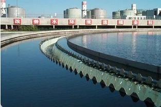 反硝化浮泥該如何預防？你知道嗎？