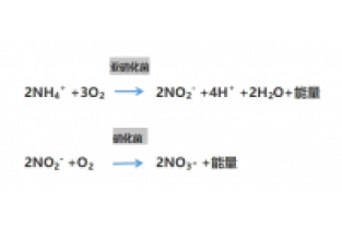 食品廢水氨氮超標(biāo)，你可以這么做