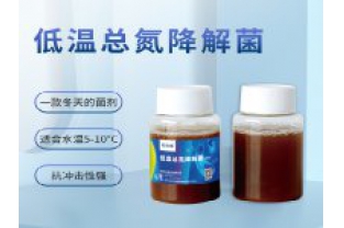 反硝化細(xì)菌在污水處理中的具體應(yīng)用是什么？